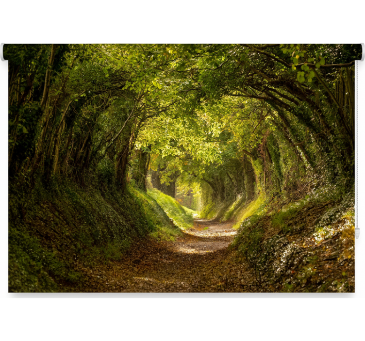 Cortina roller árboles mural del bosque inmersivo - TenVinilo