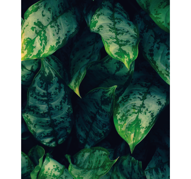 Cortina roller flores hojas verdes vibrantes - TenVinilo