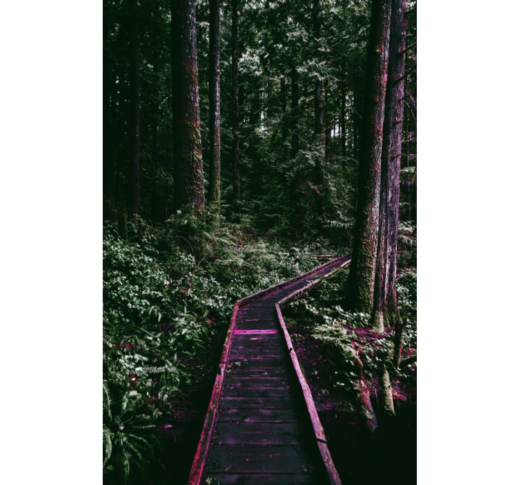 Cortina roller árboles sendero forestal - TenVinilo