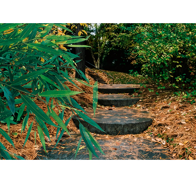 Estor original Bosque 3d y camino pequeño - TenVinilo