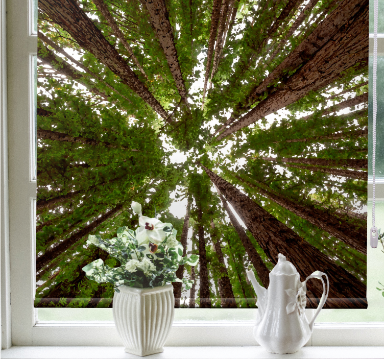 Cortina roller árboles diseño de dosel alto - TenVinilo