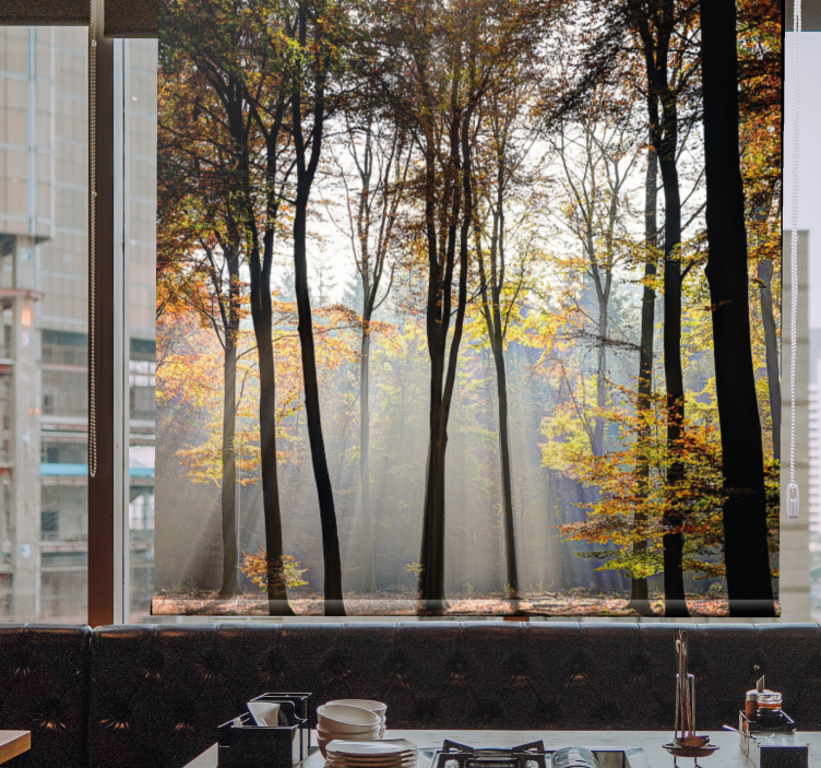 Cortina roller árboles escena de bosque iluminado por el sol - TenVinilo