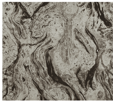 Cortina roller baño textura de mármol oscuro - TenVinilo