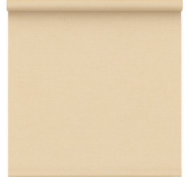 Cortina roller oficina simple beige traslúcido - TenVinilo