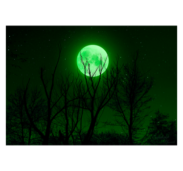 Cortina roller negra luna verde - TenVinilo