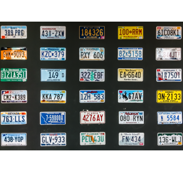 Cortina roller negra placas de matrícula - TenVinilo