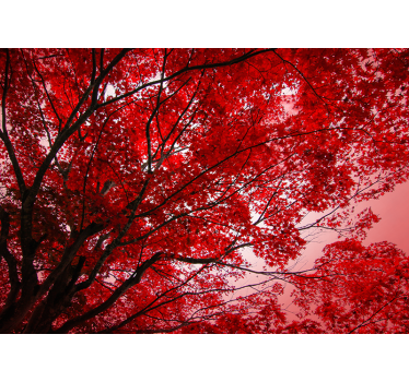 Cortina roller roja ramas rojas - TenVinilo