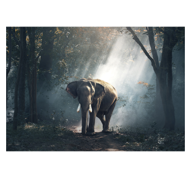 Cortina roller living comedor elefante en el bosque - TenVinilo