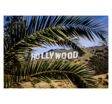 Cortina roller living comedor cartel de hollywood y árbol - TenVinilo