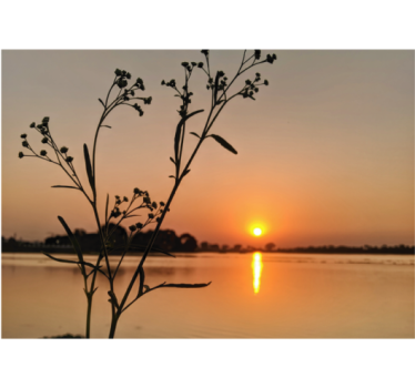 Cortina roller living comedor atardecer en el lago - TenVinilo