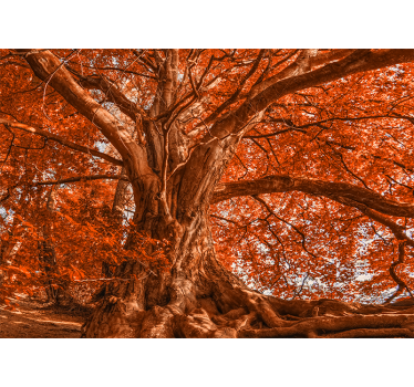 Cortina roller living comedor árbol hermoso de otoño - TenVinilo