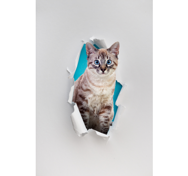 Estor de animales efecto 3D gato - TenVinilo