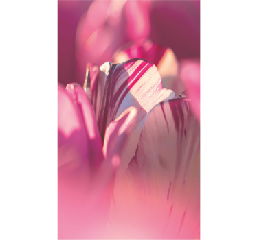 Cortina roller color esencia floral abstracta - TenVinilo