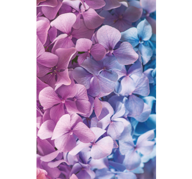 Cortina roller flores racimo de pétalos de hortensia - TenVinilo