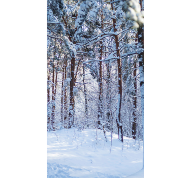 Cortina roller árboles bosque de pinos nevados - TenVinilo