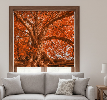 Cortina roller living comedor árbol hermoso de otoño - TenVinilo
