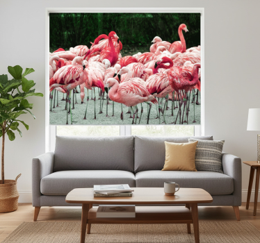 Cortina roller living comedor flamencos bonitos en agua - TenVinilo