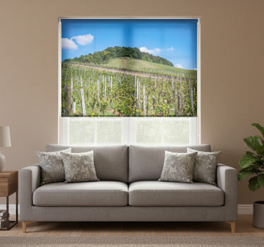 Cortina roller living comedor pradera de vino - TenVinilo