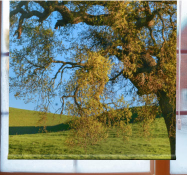 Estor para salón Diseño de árbol de naturaleza 3d - TenVinilo