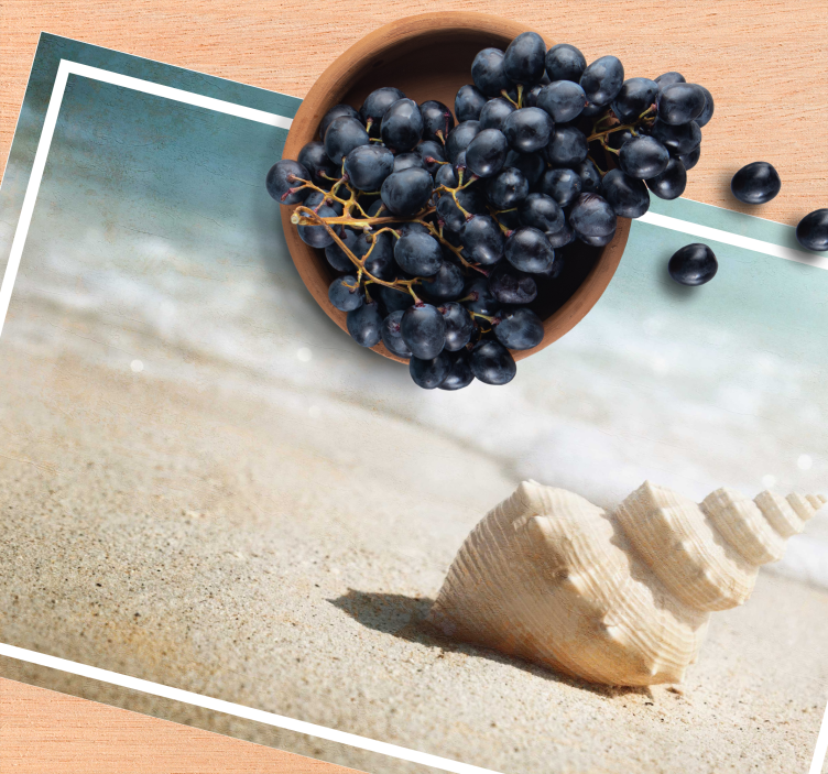 Individual mesa original exhibición elegante de conchas - TenVinilo