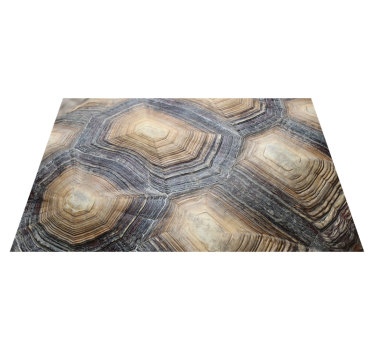 Manteles individuales patrones caparazón de tortuga - TenVinilo