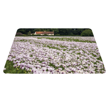 Individual mesa original campo de flores de lavanda - TenVinilo