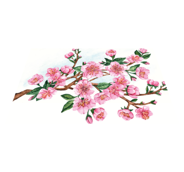 Individual mesa original cuenco floral elegante - TenVinilo