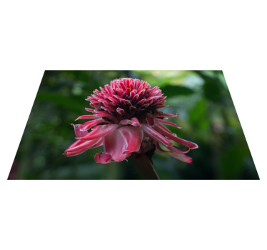 Individual original mesa Diseño de flores de martinica - TenVinilo