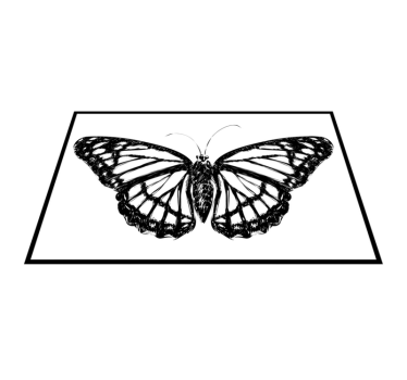 Individual mesa original ilustración de mariposa elegante - TenVinilo