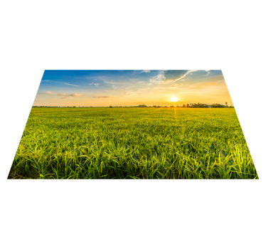 Individual mesa personalizable campo de arroz al atardecer - TenVinilo