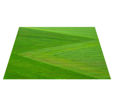Individual original mesa Estética de hierba verde - TenVinilo