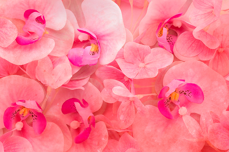 Individual de mesa patrón composición de flores elegantes - TenVinilo