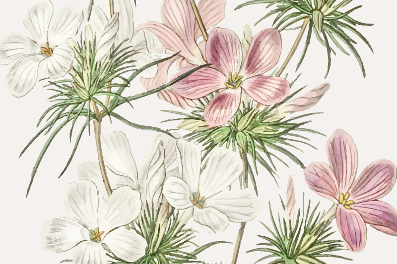 Individual mesa original arreglo botánico floral - TenVinilo