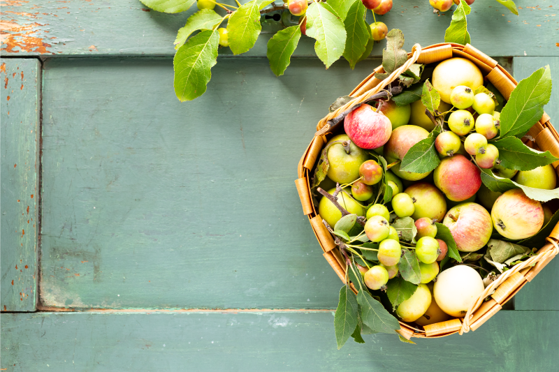 Individual mesa casa arreglo de frutas - TenVinilo