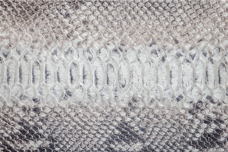 Individual de mesa patrón textura piel de serpiente - TenVinilo