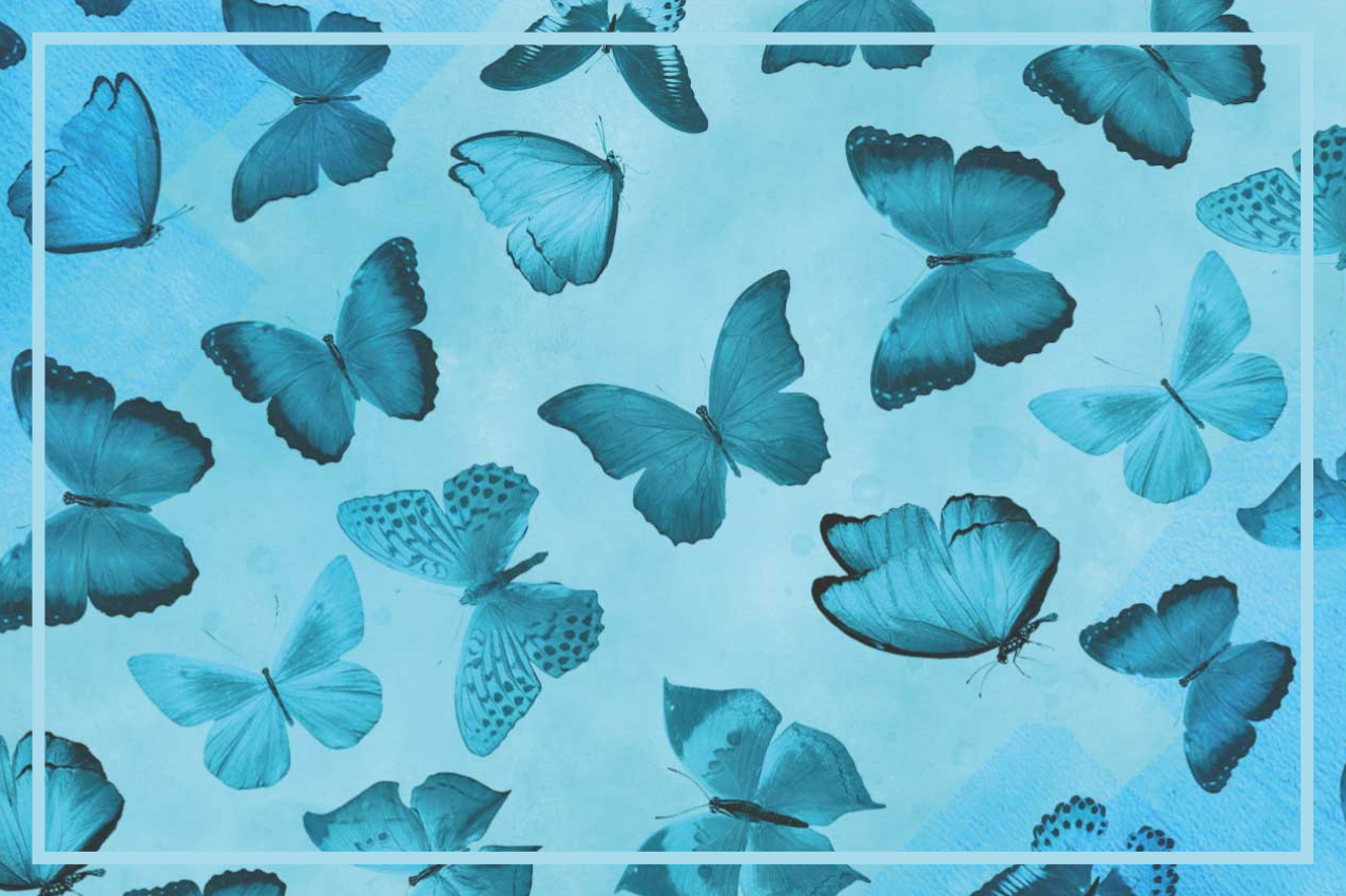 Individual de mesa patrón mariposas - TenVinilo