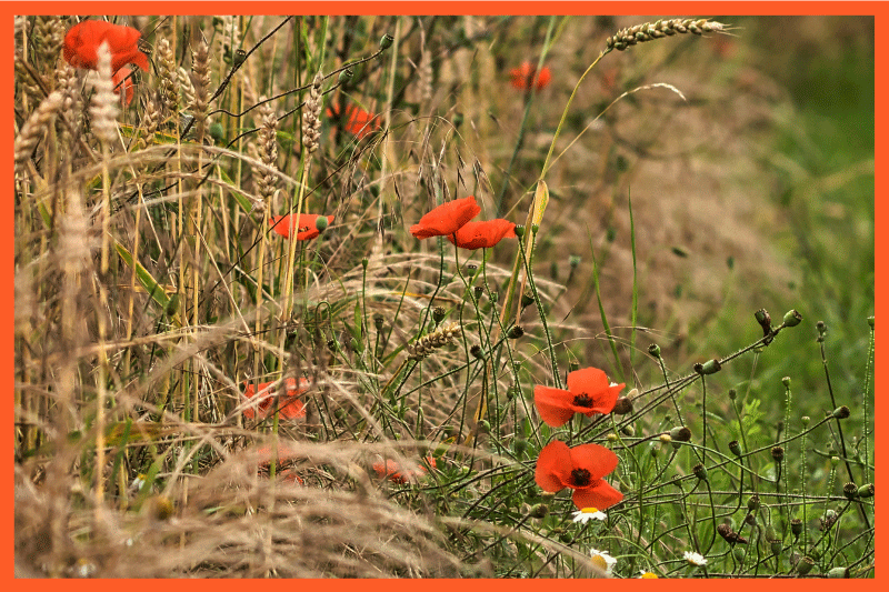Individual de mesa infantil arreglo de comida divertido - TenVinilo