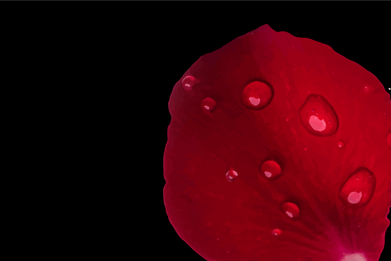 Individual de mesa patrón superficie pétalos rojos - TenVinilo