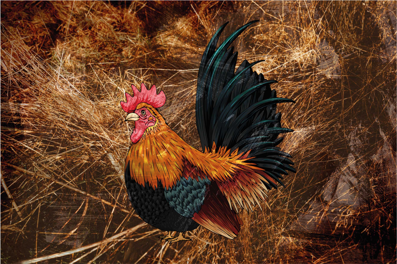 Individual mesa original arte del gallo vibrante - TenVinilo