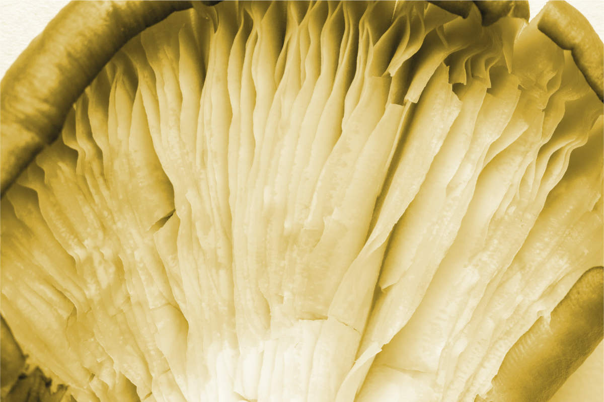 Individual de mesa patrón capas de hojas curvas - TenVinilo