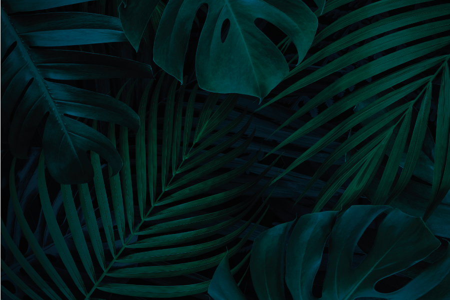 Individual de mesa patrón atractivo hoja tropical - TenVinilo