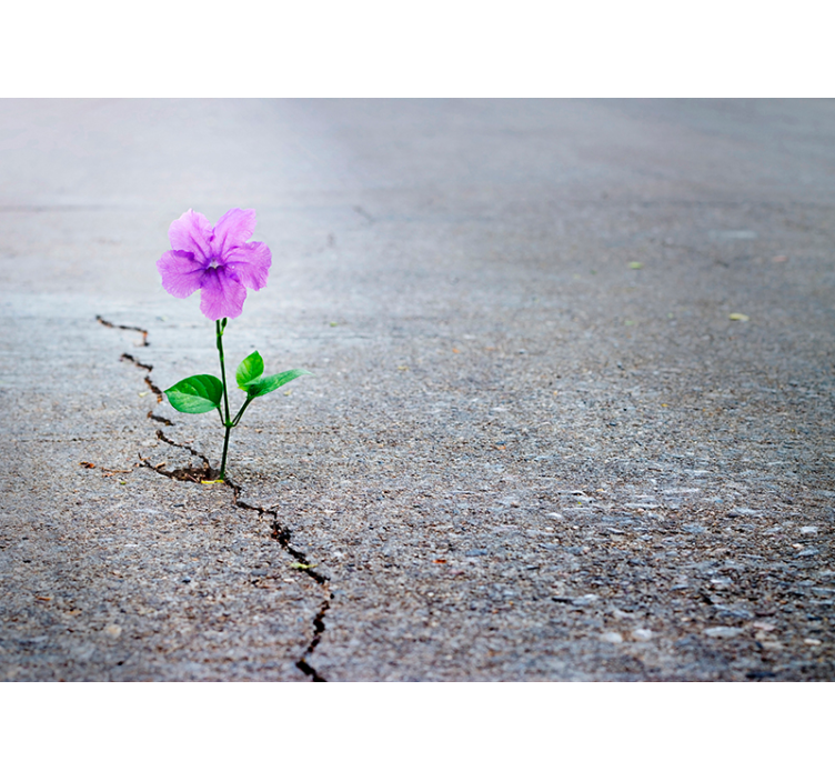 Fotomural 3D abstracto con flores - TenVinilo