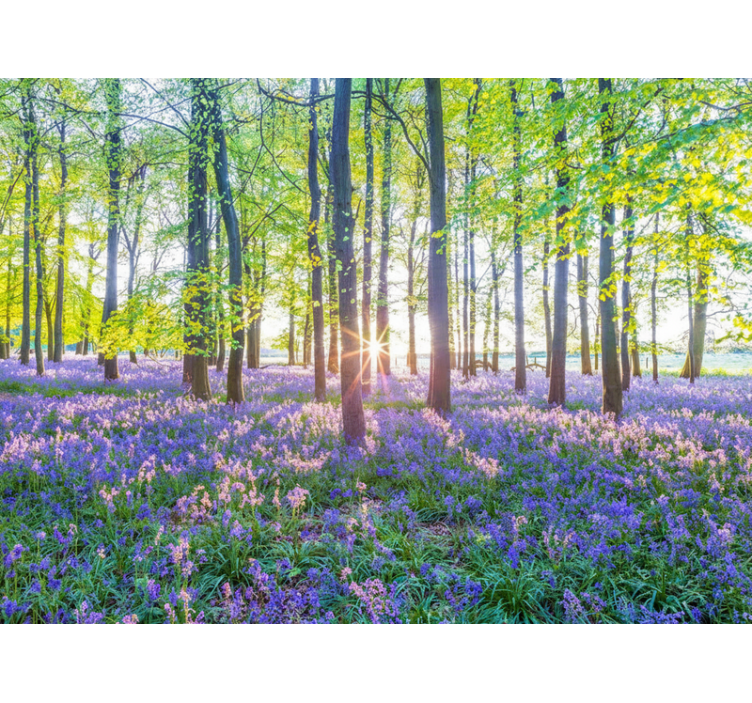 Mural de bosque modernismo inspirado en la naturaleza - TenVinilo
