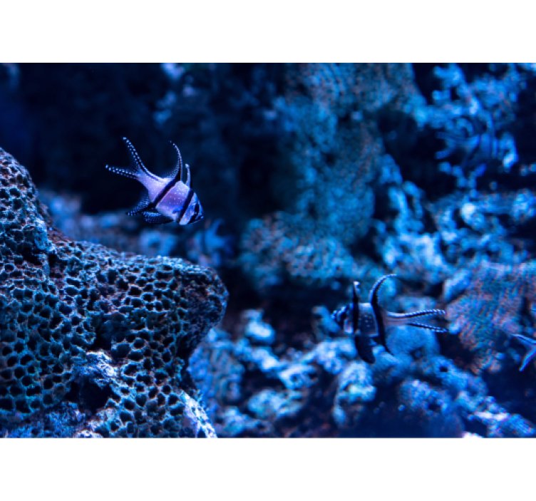 Mural de animales peces de arrecife de coral - TenVinilo