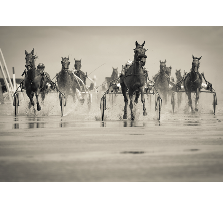 Mural de animales caballos corriendo juntos - TenVinilo