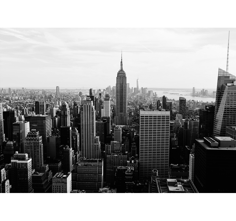 Fotomural despacho Manhattan desde el aire en blanco y negro - TenVinilo