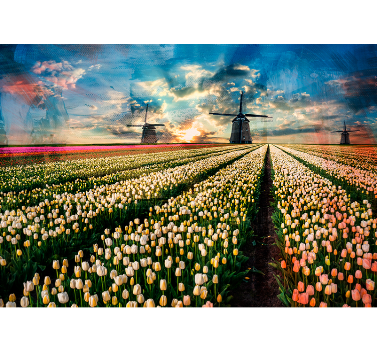 Mural de flores amanecer en el campo de tulipanes - TenVinilo