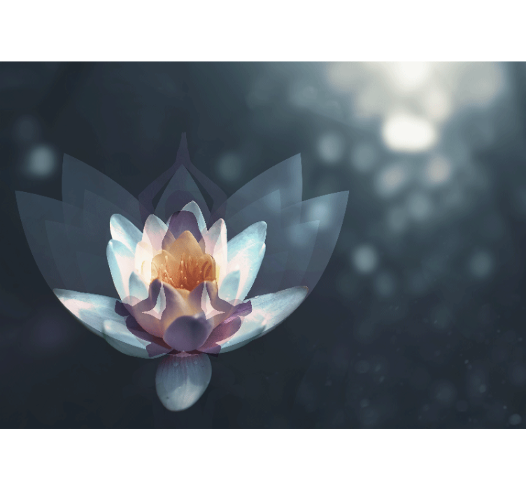 Mural amapolas diseño de flor de loto - TenVinilo