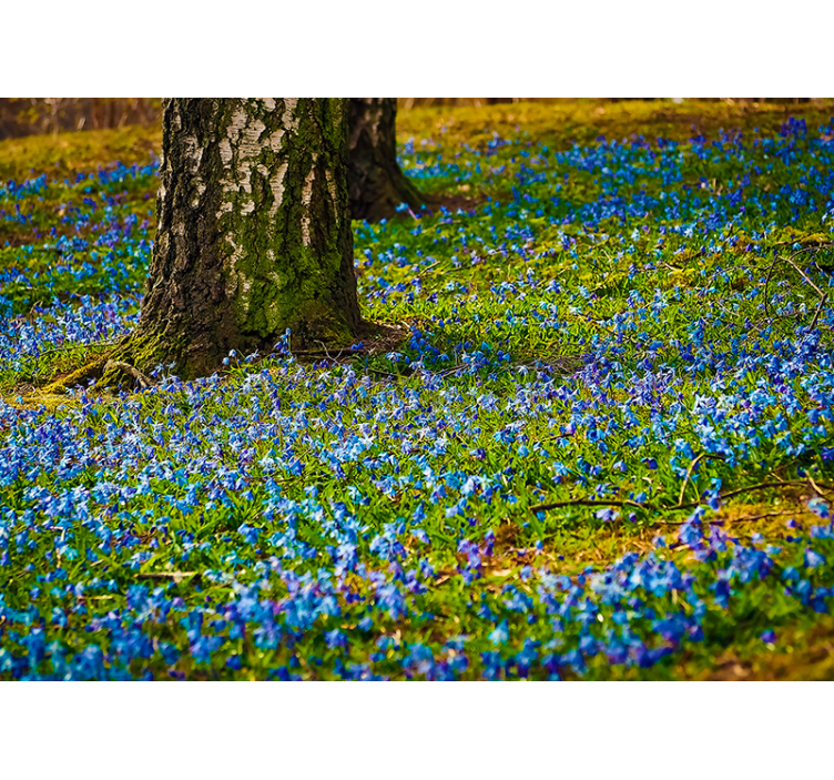 Mural de flores escena de pradera con campanillas - TenVinilo