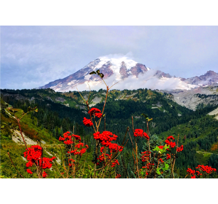 Mural de paisajes montaña nevada - TenVinilo